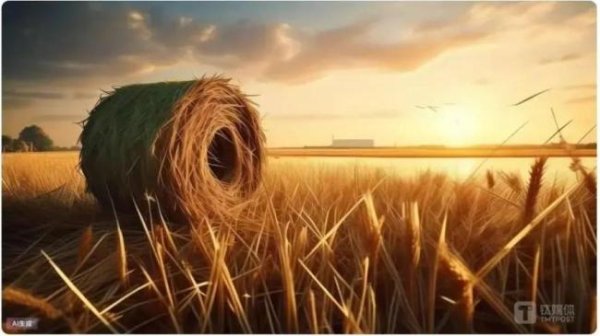 豪瑞优配 5.3亿豪赌半导体！主业失速的绿通科技，大摩半导体成“救命稻草”？