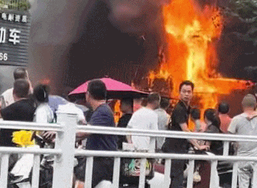 客新策略 广东揭阳一宠物店起火，“毛孩子们”无一生还……